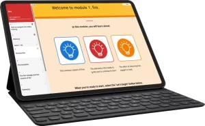 Principles of the Role of a Fire Marshal Level 2