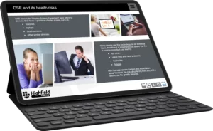 Display Screen Equipment