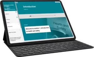 Introduction to Health and Safety (Health and Safety Level 3) (2024)