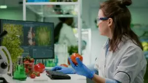 Food Safety